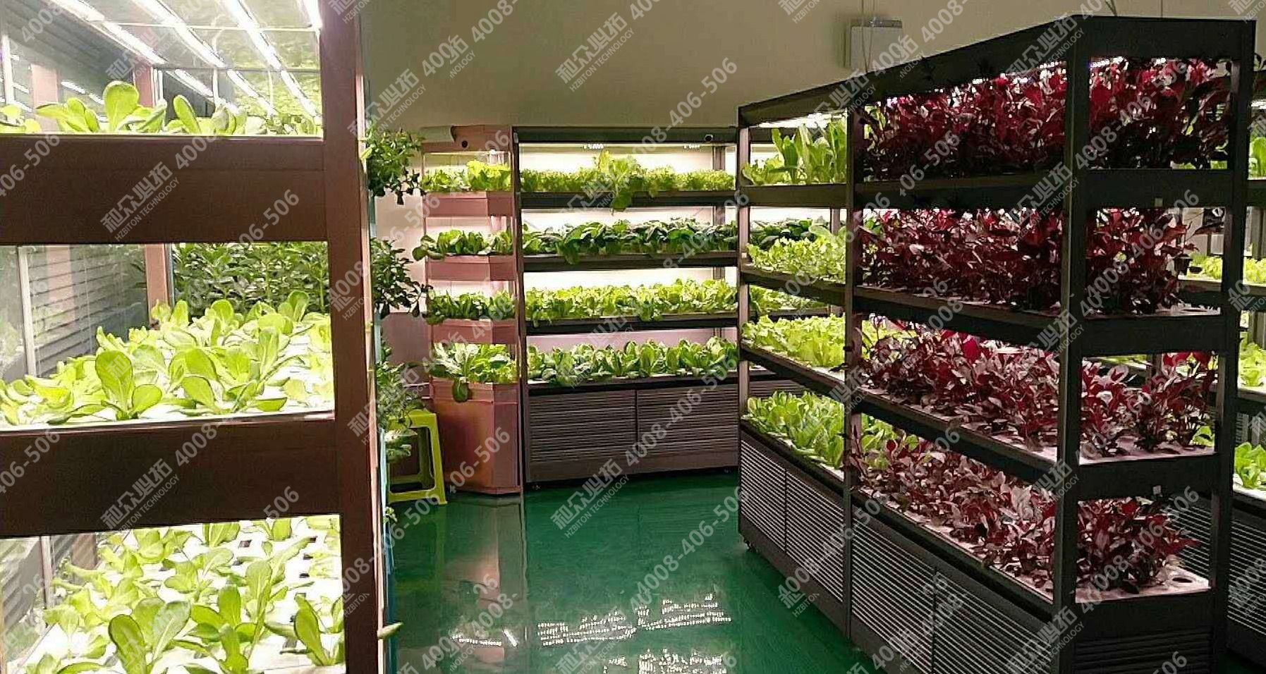 service img